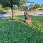 Chad Baughman - @chad.baughman.50 - Instagram