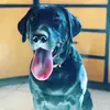 StiltznKiltz79 - @chadbaughman79 - TikTok
