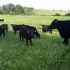 Chad Beckmann789 - @chadbeckmann - TikTok