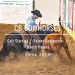 Chad Blaisdell - @chadblaisdellcowhorses - Instagram