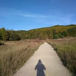 Chad Vanden Bosch - @chadoftheforest - Instagram
