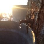 Chad Bouchard - @greenmountaingoodness - Instagram