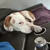 Chad Bouchard - @chad.bouchard0 - TikTok