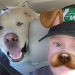 Chad Brander - @knackchad - Instagram
