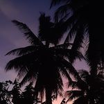 Chad Camp - @chad.camp.4 - Instagram