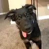 Chad Carroll - @chad.carroll13 - TikTok