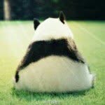 @chad_chan - Instagram
