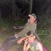 Chad Clement - Facebook