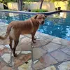 Chad Cotton - @chad.cotton83 - TikTok