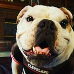 Chad Crosby - @chadcrosby5 - Instagram