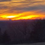Chad Crowley - @chad.crowley.10 - Instagram