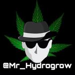 Chad Cutting - @mr_hydrogrow - Instagram