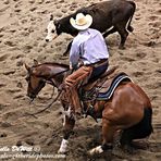 Shad Platt Cutting Horses - Facebook