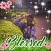 Deno Chad - Facebook