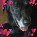 Chad Domanski - Facebook