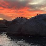 Chad - @chaddossantos420 - Instagram