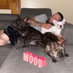 Chad Doyle - @chad.doyle.9809 - Instagram