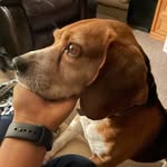 Chad durham - @1blue_wolf - Instagram