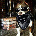 Chad Elmore - @mugzyandfamily - Instagram