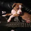 chadengler847 - @chadengler847 - TikTok