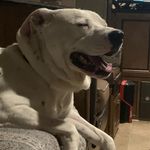 Chad Ferrell - @chadryanferrell - Instagram