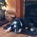 Chad Ferrell - Facebook