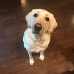 Chad Friday - @friday.chad - Instagram