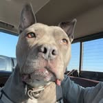 Chaddy🤫 - @chad_gilley3 - Instagram