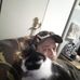 Chad Goldman - Facebook