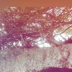 Chad Grace - @chadgrace68 - Instagram