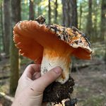 Chad Hagemann - @chadhagemann - Instagram