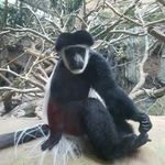 Chad Hahn - @chad_d_h - Instagram