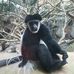 Chad Hahn - Facebook