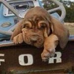 Chad Harrell - @turtleharrell03 - Instagram