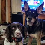 Chad Haugen - @haugenchad - Instagram