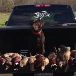 Chad Hedlund - @hedlundchad - Instagram
