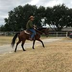 @chad.herrington.750 - Instagram