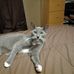 Chad Hicks - Facebook