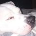 Chad Hicks - Facebook