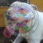 Chad Hockey - @chad.hockey - Instagram