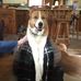Chad Holbrook - Facebook