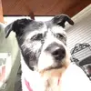Chad Holiday330 - @chadholiday1 - TikTok