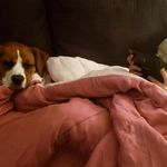 Chad Hooker - @hookerchad76 - Instagram
