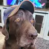chadhooper75 - @chadhooper75 - TikTok