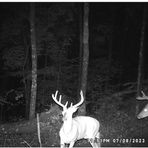 Chad Horner - Facebook