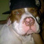 Chad House Jaegli - @watuluknat - Instagram