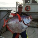 Chad Howes - @chad.howes - Instagram