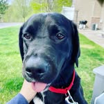 Chad Hubbard - @ce_hubbard - Instagram