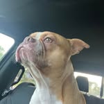 Chad Huffer - @chad_huffer - Instagram