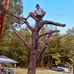 Chad Isom - Facebook